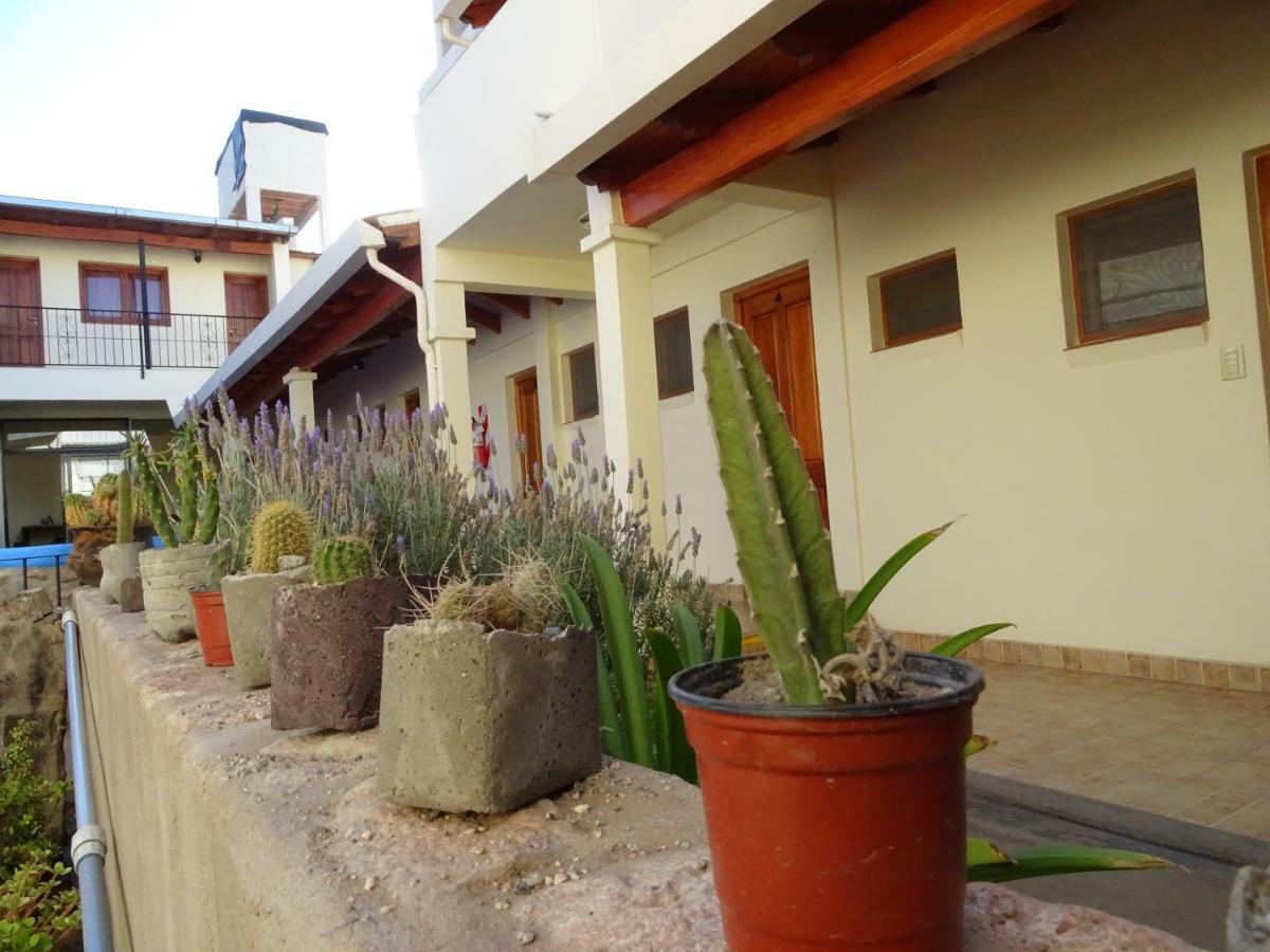 Отель Casa Cactus Кафайяте Экстерьер фото